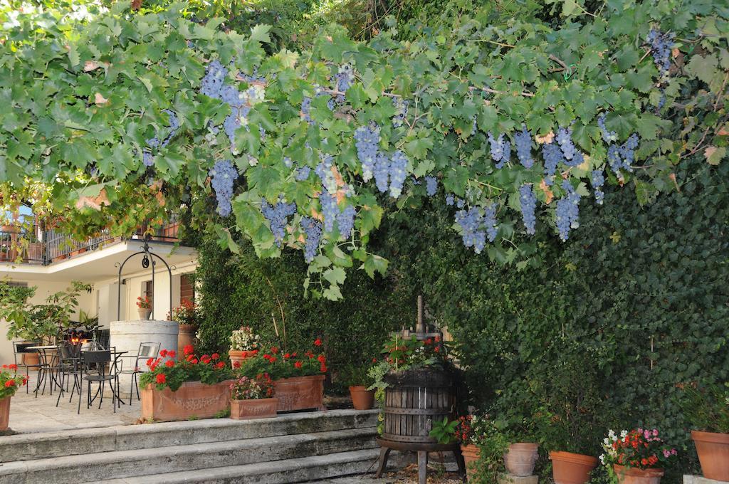 Hostal Casa Lemmi San Quirico dʼOrcia Exterior foto