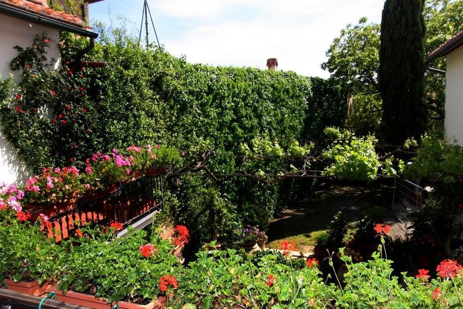 Hostal Casa Lemmi San Quirico dʼOrcia Exterior foto